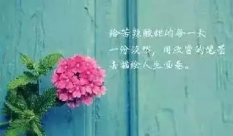 未来之路虽然天润出圈速度快前端奶源充足但......《企业非正常死亡实录》摘录